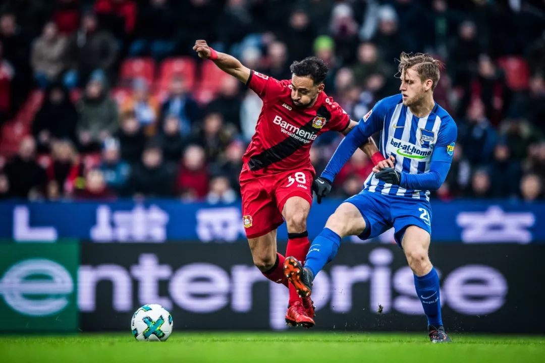 包含柏林赫塔队选拔优秀青训，为未来做准备的词条