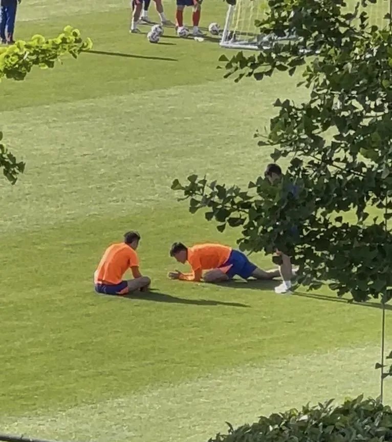 汉诺威队员伤愈复出，助力球队重返巅峰的简单介绍