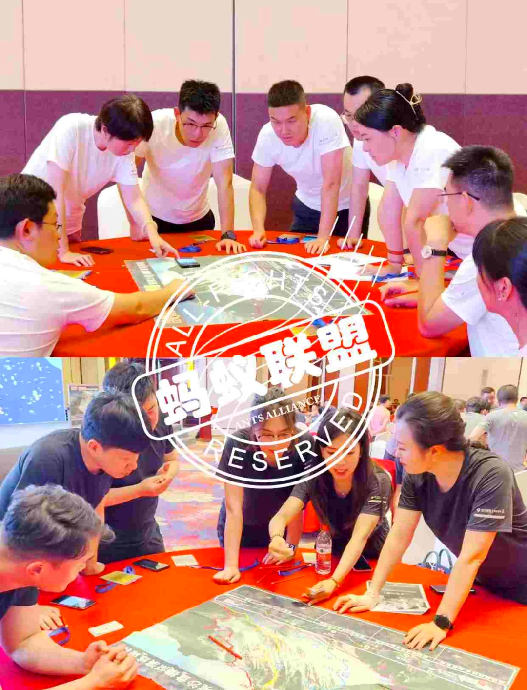 勇攀高峰，团队合作无懈可击