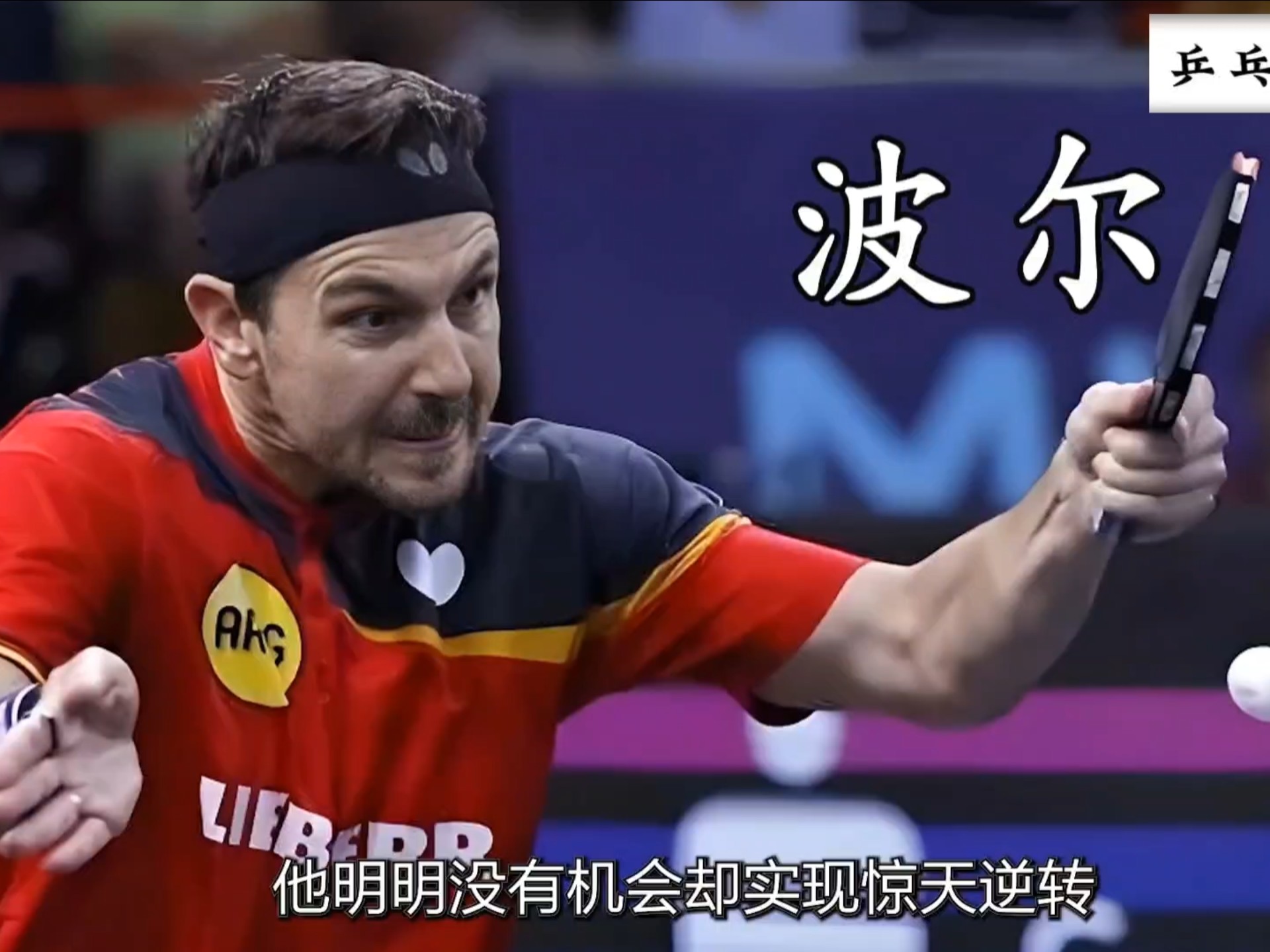 比利时乒乓球队鏖战奥地利乒乓球队，波尔送出助攻的简单介绍
