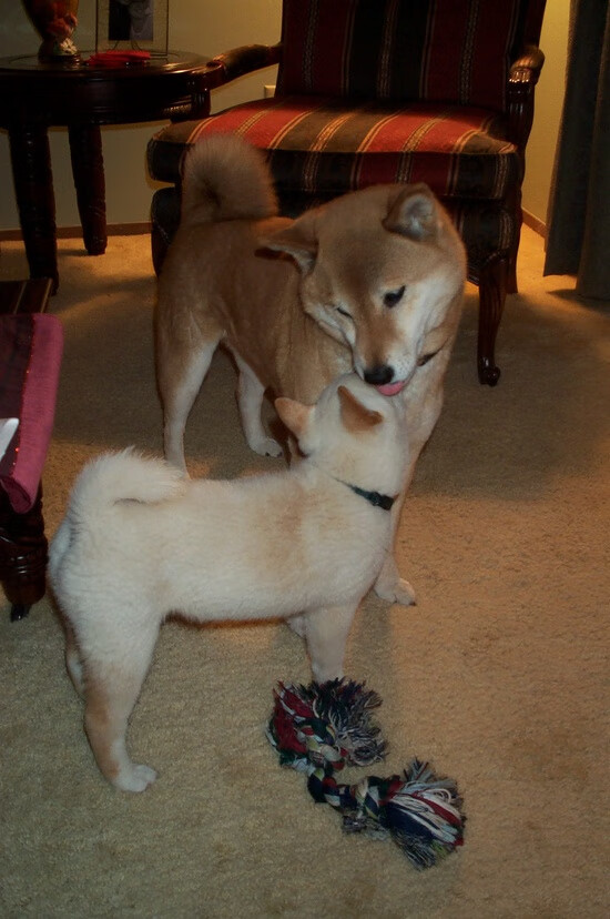 铁壁横江，当吉林队的欧冠级防守锁死南方之王