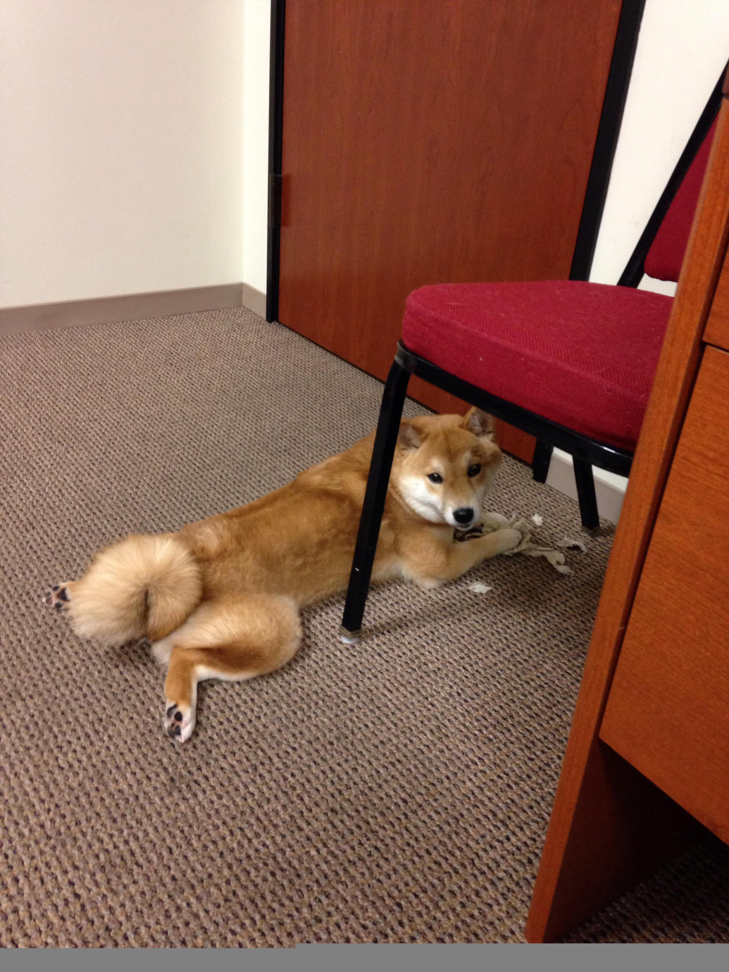 绿茵场上的东决,摩洛哥闪电战击碎切尔西铁幕