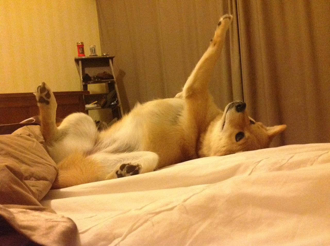 破壳之痛,当鹈鹕洪流冲破新疆防线,看杰伦·格林如何浴火新生