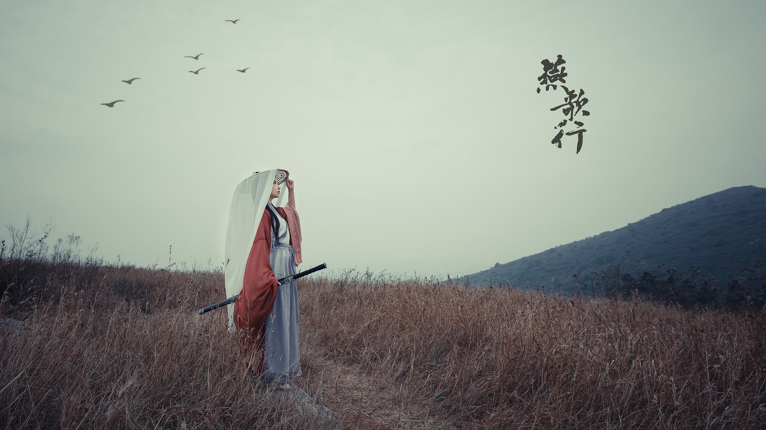 铁血之刃与玫瑰荆棘,德罗赞末节封神与开拓者的生存突围