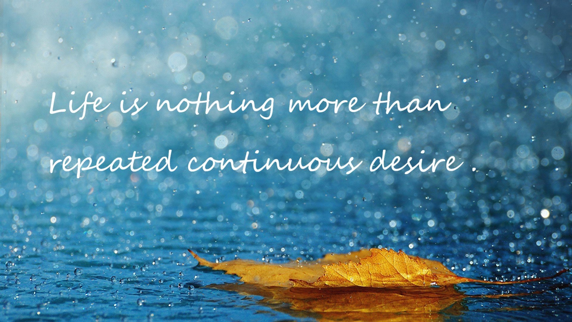 文班亚马震撼崛起，凯尔特人铁蹄踏碎快船，NBA新旧时代的交响与碰撞