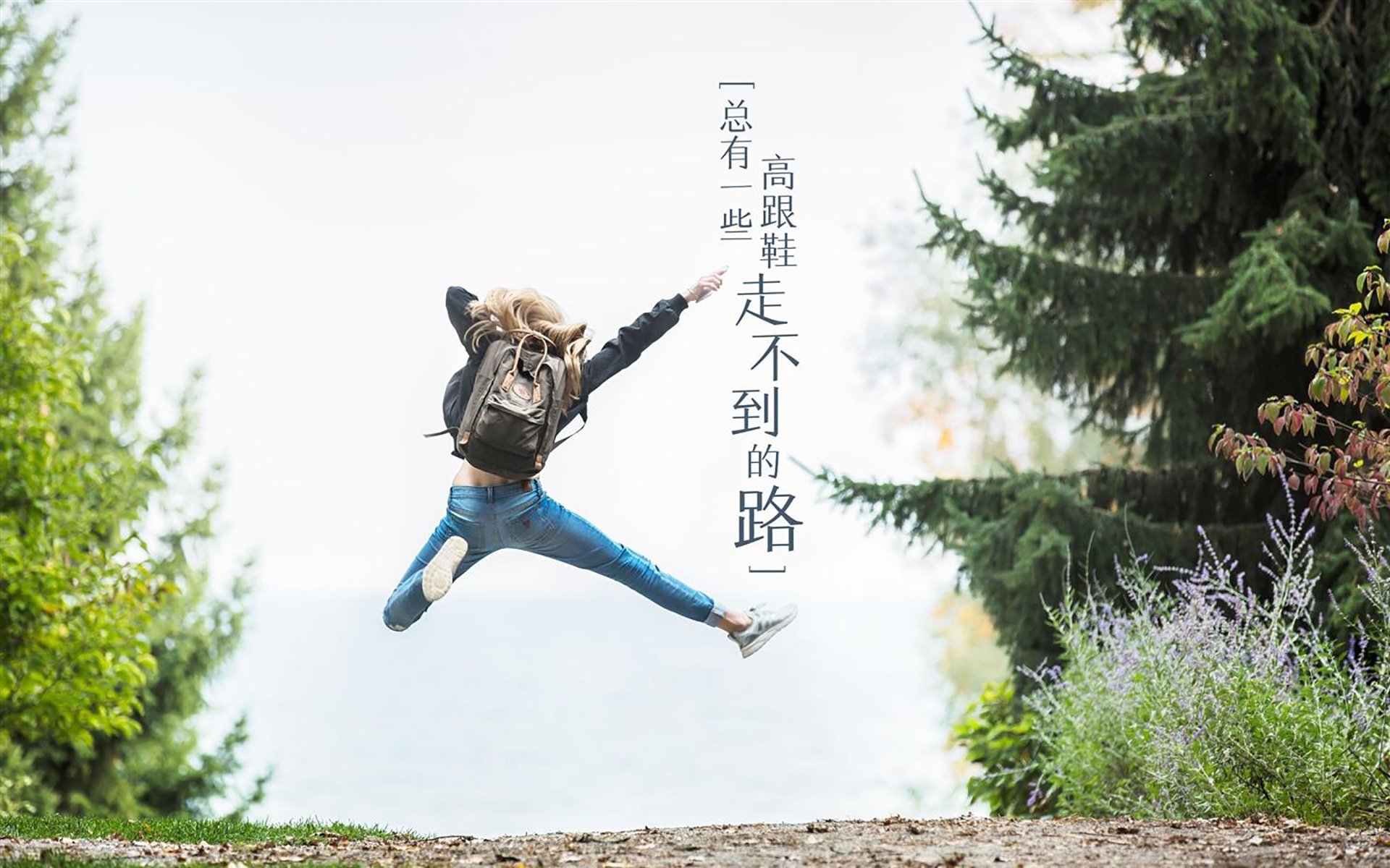 跨界交锋,当骑士的钢铁洪流淹没鹈鹕的迁徙之翼