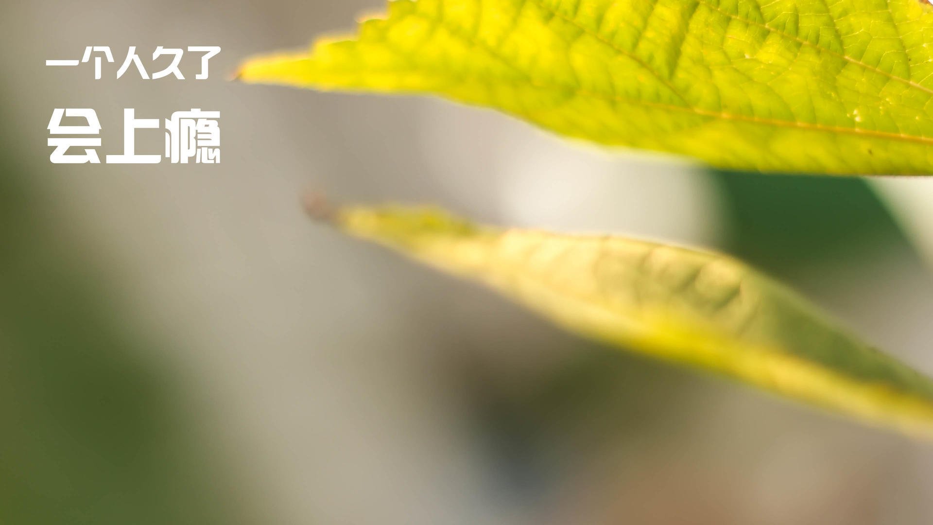 昨夜，尤文血洗黄潜宣告传统秩序回归，梅西用最无聊的方式完成最惊艳的连续暴击