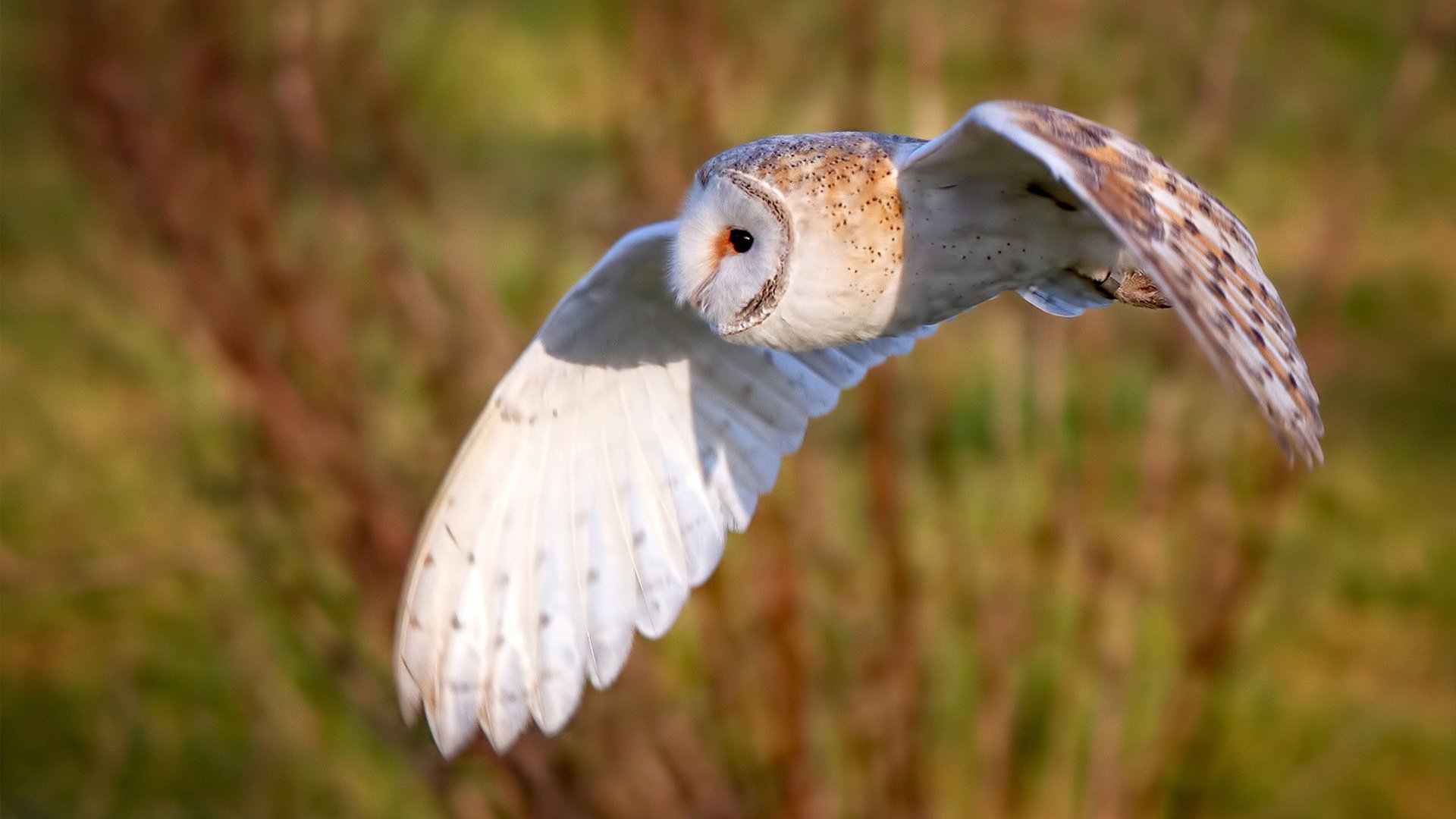 姆巴佩闪耀年度焦点之战夜，全场瞩目之星
