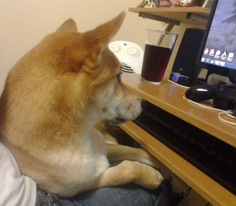 佛罗伦萨强势击溃伊拉克，拉什福德稳健输出再证巨星本色