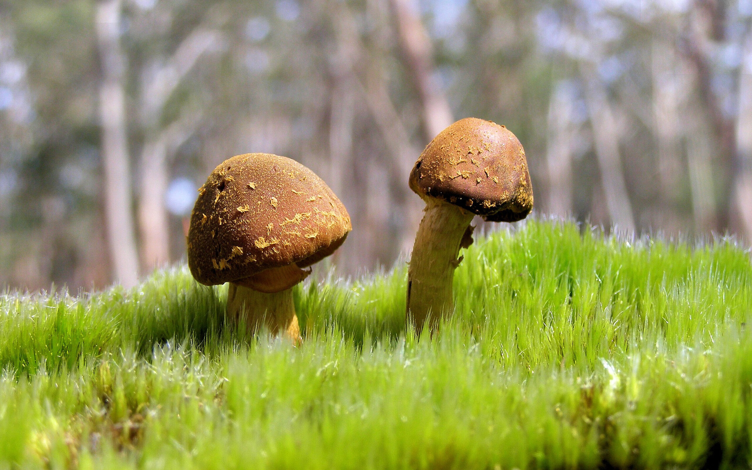 速度与热浪，F1年度争冠焦点战与快船翻盘热火的戏剧性对决