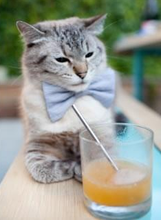 福克斯欧冠之夜完美发挥，闪耀淘汰赛舞台