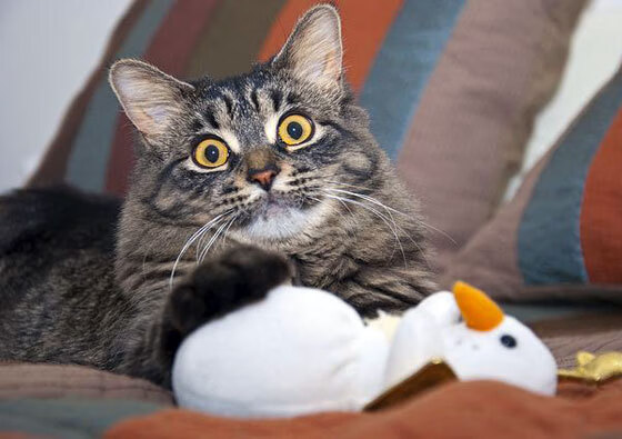 开云体育登录-王朝余晖与新王诞生，公牛险胜掘金，锡安东决舞台接管比赛