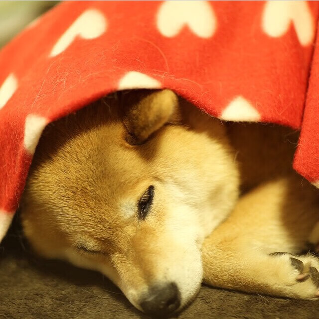 开云体育登录-东决风云，在质疑的废墟上，爱德华兹筑起了属于自己的王座